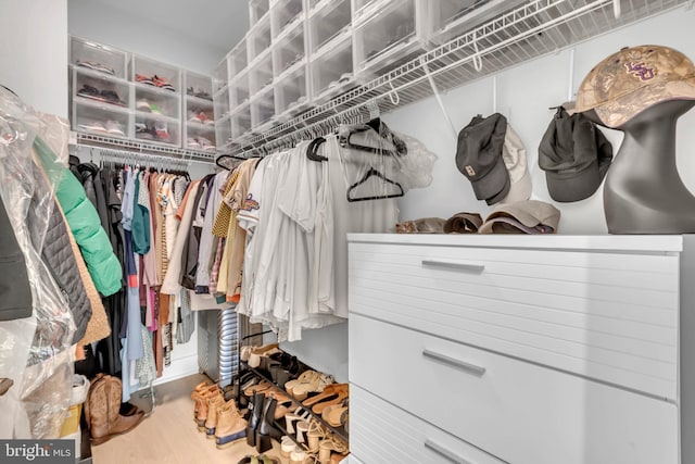 walk in closet featuring hardwood / wood-style flooring