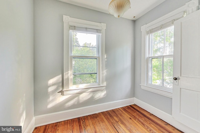 empty room with light wood-type flooring