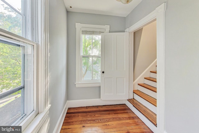 doorway featuring plenty of natural light and hardwood / wood-style floors