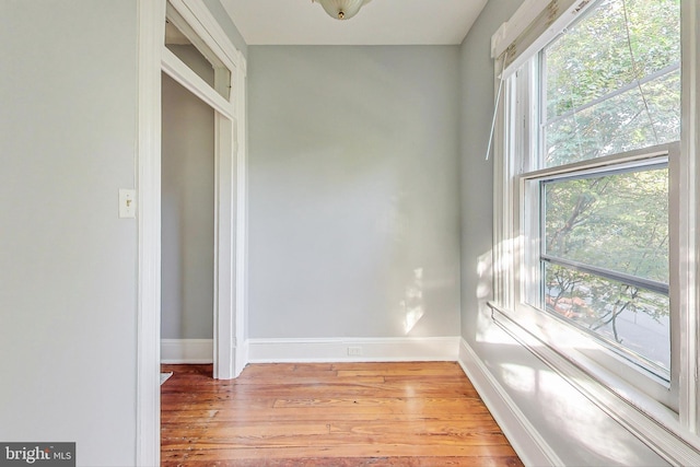 spare room featuring wood-type flooring