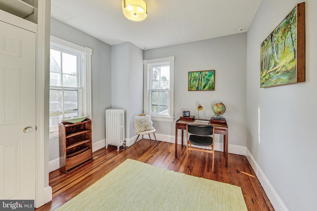 sitting room featuring radiator heating unit, a wealth of natural light, and hardwood / wood-style floors