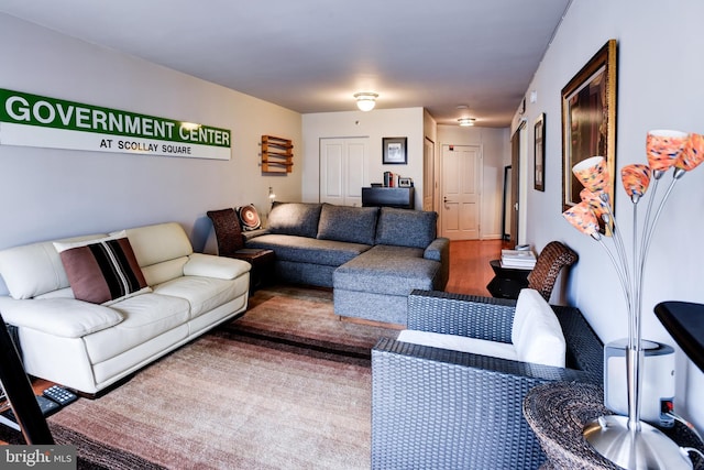 living area featuring wood finished floors