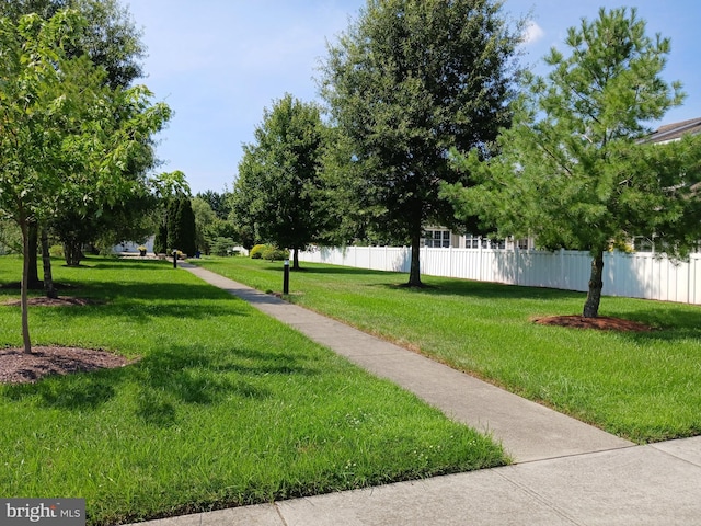 view of community featuring a yard