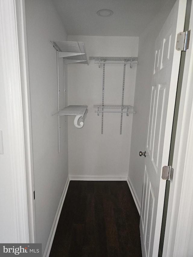 walk in closet featuring dark wood-style flooring