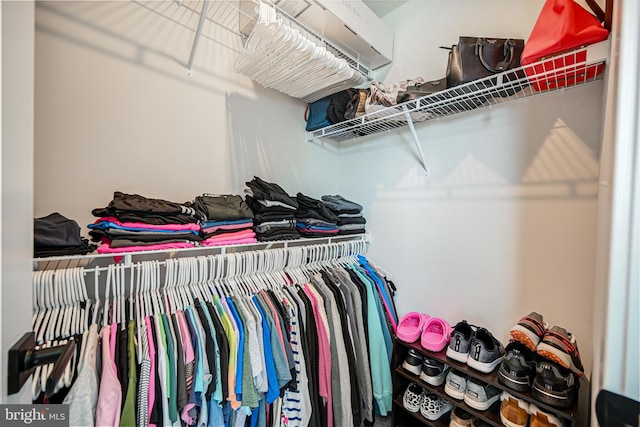 view of spacious closet