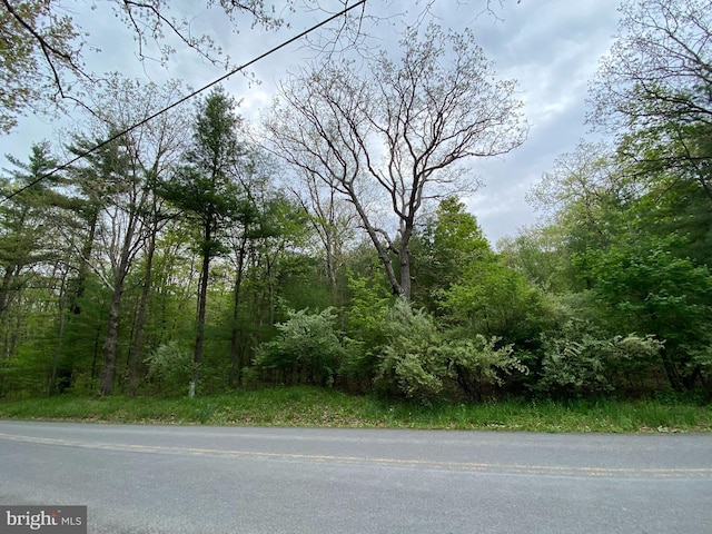 Green Glade Rd, Swanton MD, 21561 land for sale