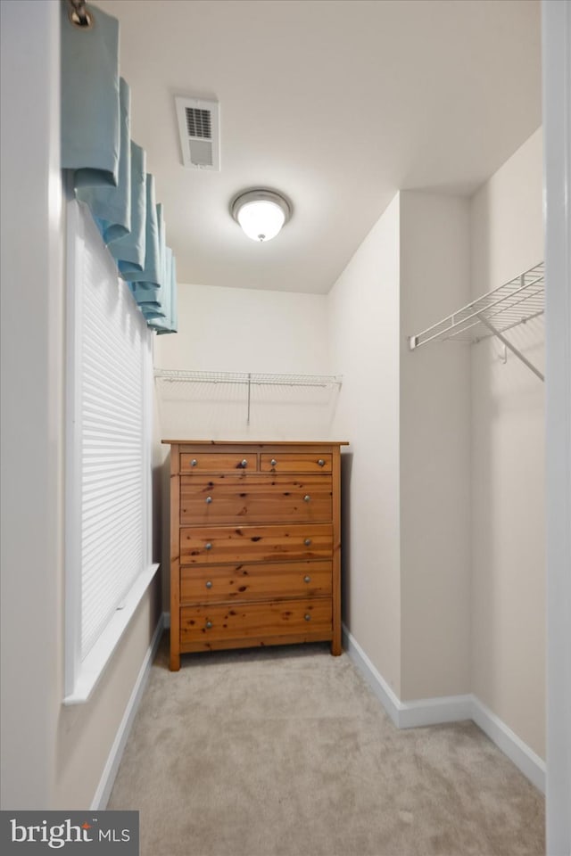 walk in closet featuring visible vents and light colored carpet