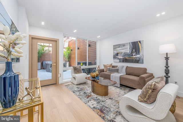 living room with light wood-type flooring