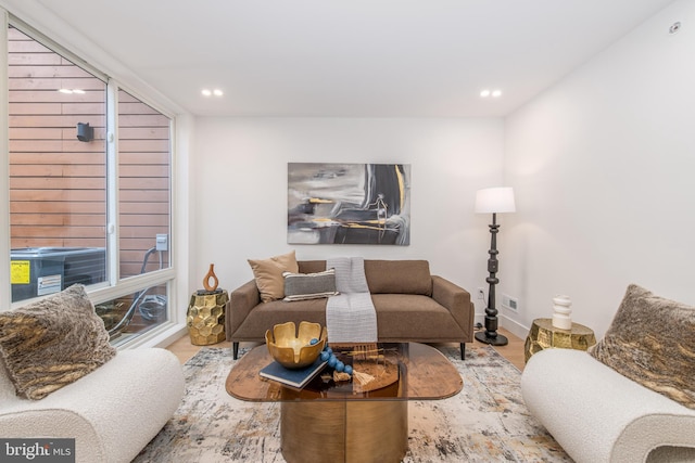 living room featuring light hardwood / wood-style flooring