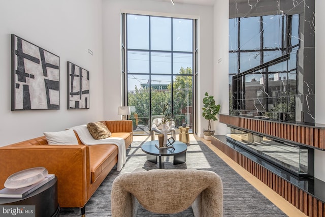 living room with hardwood / wood-style flooring and a high ceiling