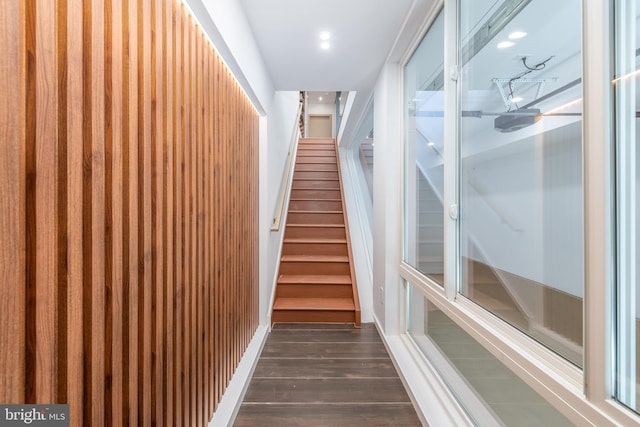 stairway with hardwood / wood-style flooring