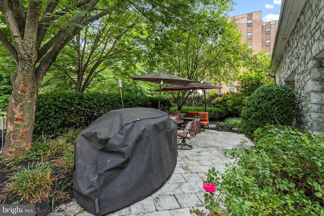 view of patio featuring grilling area