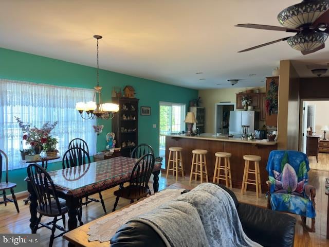 dining room featuring ceiling fan with notable chandelier and hardwood / wood-style flooring