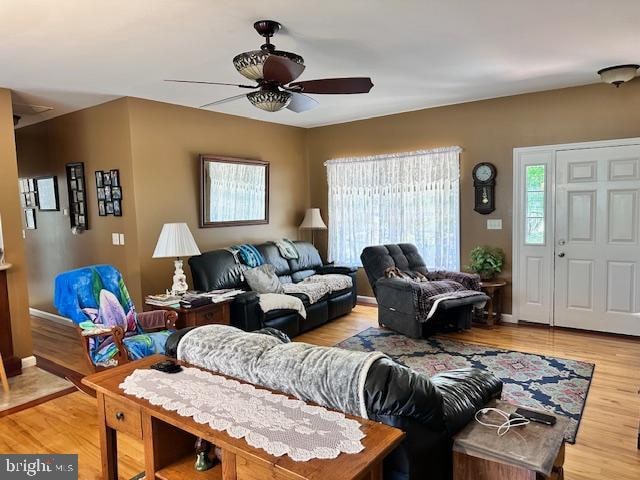 living room with ceiling fan and light hardwood / wood-style flooring