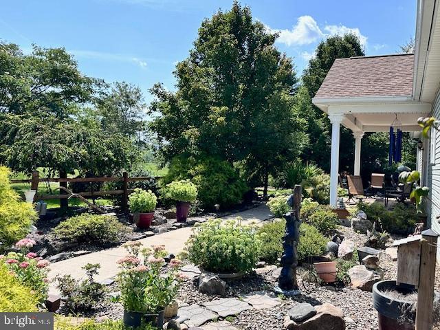 view of yard featuring a patio