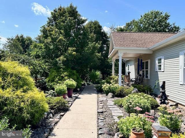 view of yard with a porch