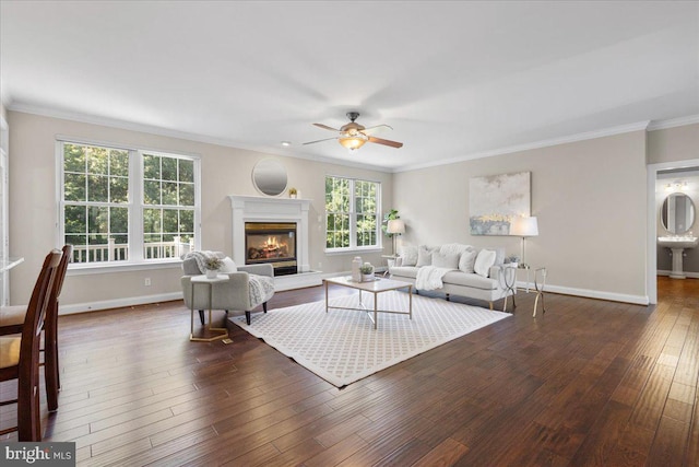 living room with dark hardwood / wood-style flooring, ceiling fan, plenty of natural light, and crown molding