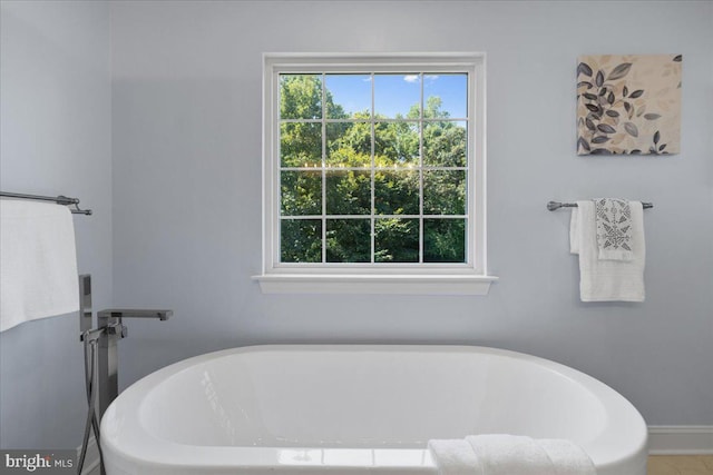 bathroom featuring a washtub