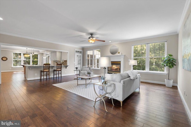 living room featuring ceiling fan, dark hardwood / wood-style floors, and ornamental molding