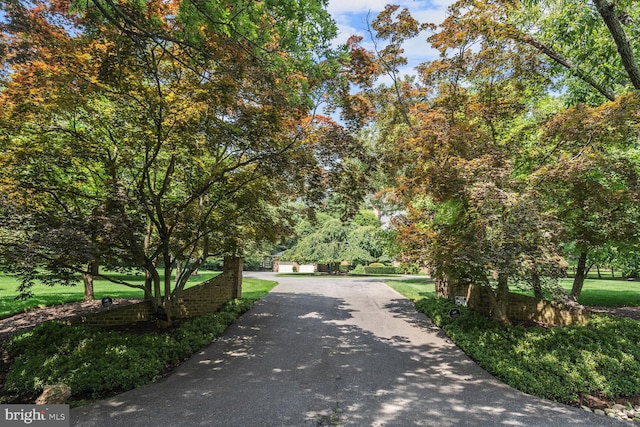 exterior space featuring a yard