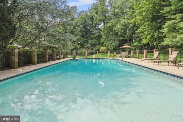 view of swimming pool featuring a patio