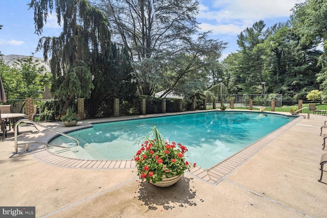 view of swimming pool featuring a patio