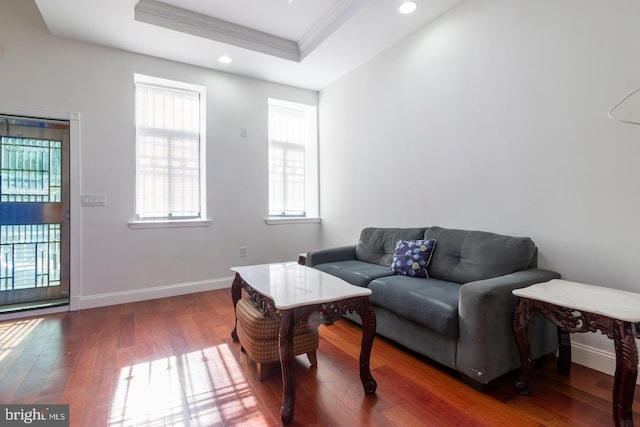 living room with crown molding, dark wood-type flooring, and a raised ceiling