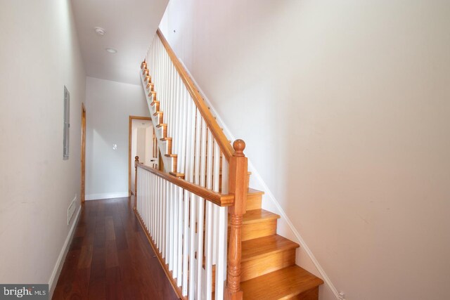 stairway with hardwood / wood-style flooring and electric panel