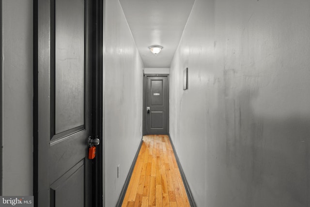 hall featuring light hardwood / wood-style floors