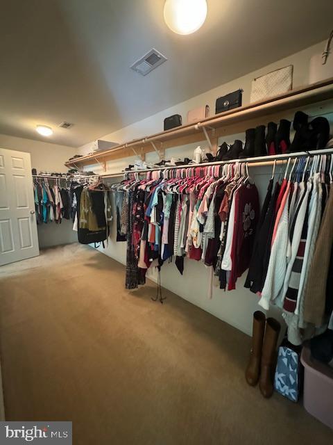 spacious closet with carpet and visible vents