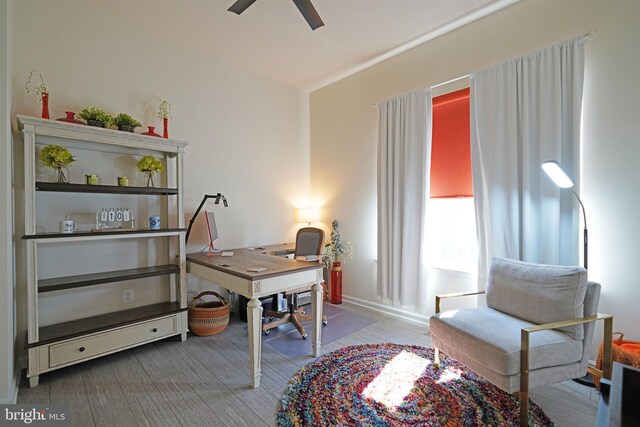 office area featuring light hardwood / wood-style flooring and ceiling fan