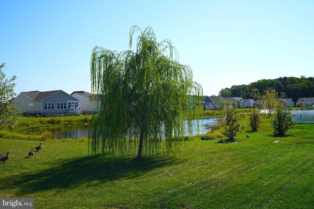 water view