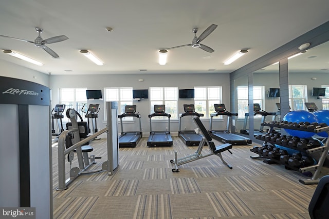 gym featuring carpet flooring and ceiling fan