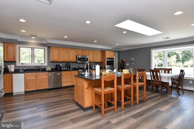 kitchen with a kitchen island with sink, dark hardwood / wood-style flooring, a wealth of natural light, and stainless steel appliances