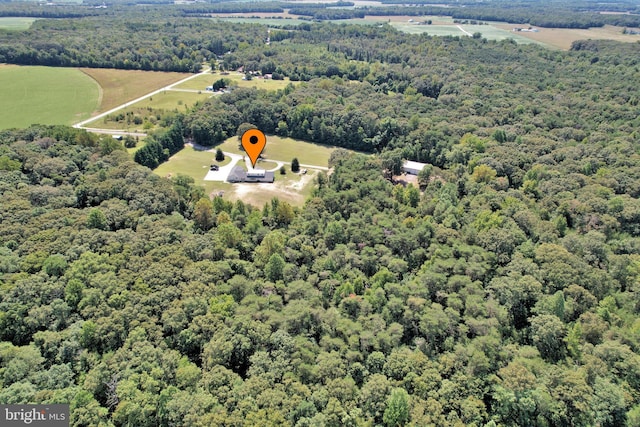 aerial view featuring a forest view and a rural view