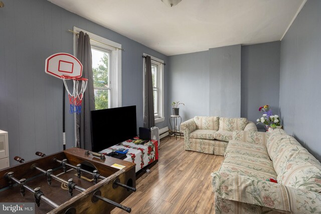 living room featuring hardwood / wood-style flooring