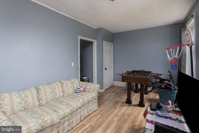 living room with hardwood / wood-style flooring