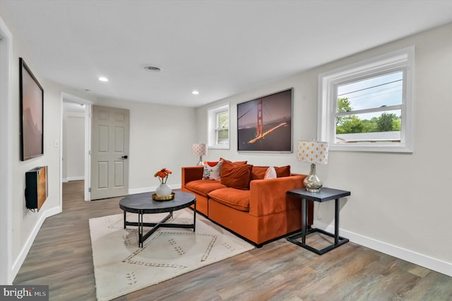 living room with hardwood / wood-style floors