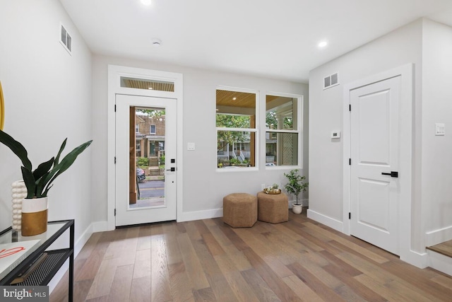 entryway featuring wood-type flooring