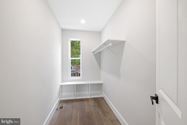 spacious closet with dark wood-type flooring