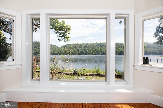 interior space with wood-type flooring and a water view