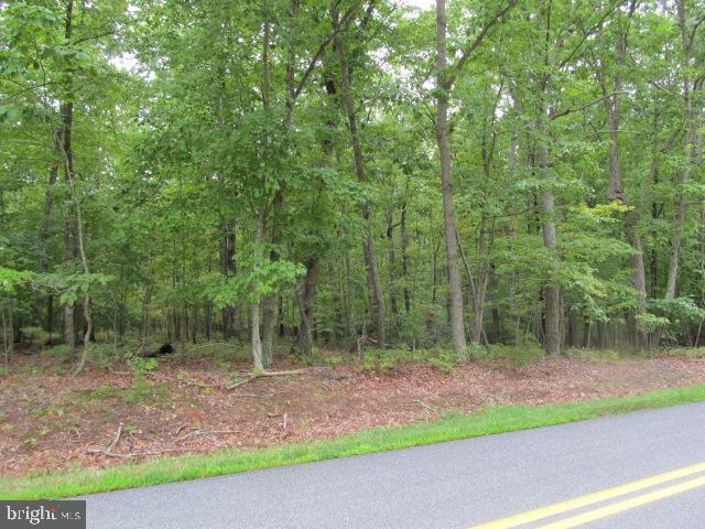 00 Kendall Rd, Orange VA, 22960 land for sale