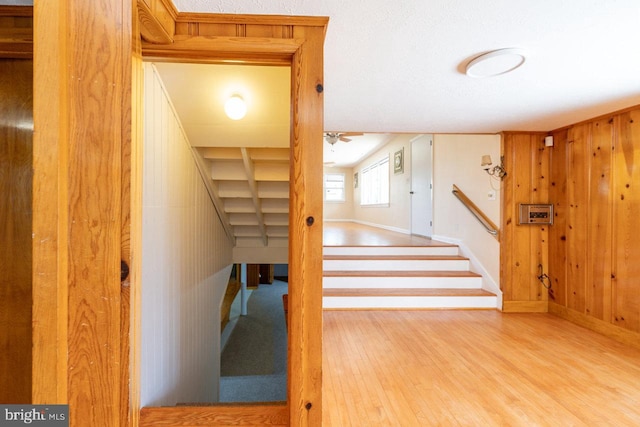 stairway with hardwood / wood-style floors and wooden walls