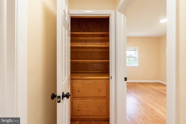 view of closet