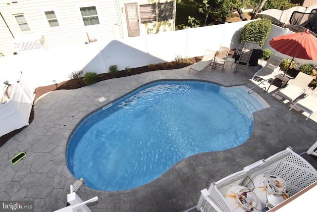 view of pool featuring a patio area