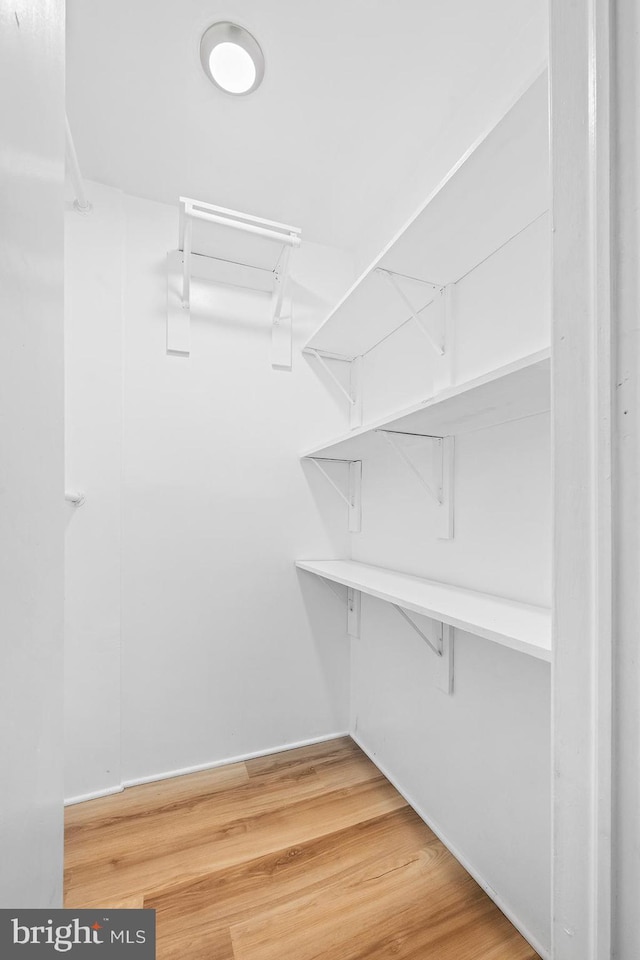 walk in closet with wood-type flooring