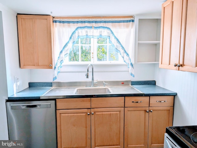 kitchen with stainless steel dishwasher and sink