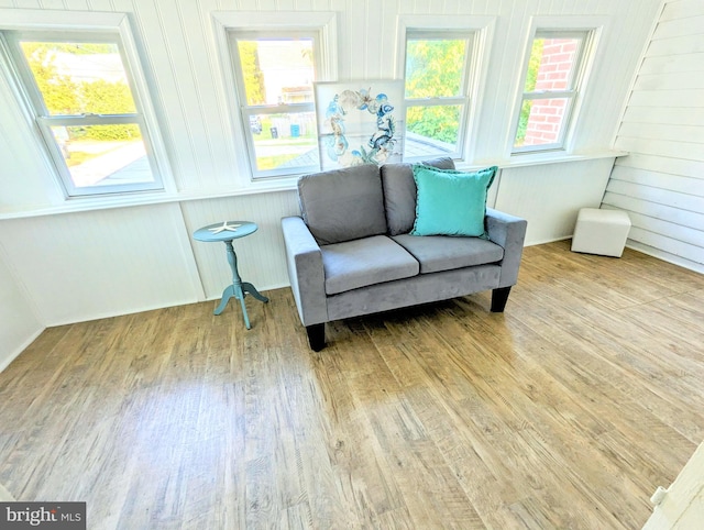 living area featuring light hardwood / wood-style floors and plenty of natural light