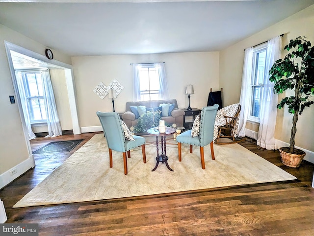 living room featuring dark hardwood / wood-style flooring