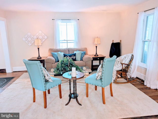 living room featuring hardwood / wood-style flooring